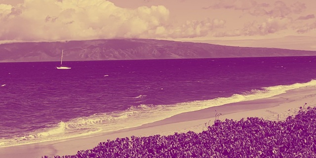 Poshmark banner for @recreate